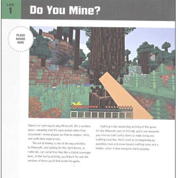 Unofficial Minecraft Lab for Kids & Diary of a Minecraft Book 4 - Picture 7 of 9
